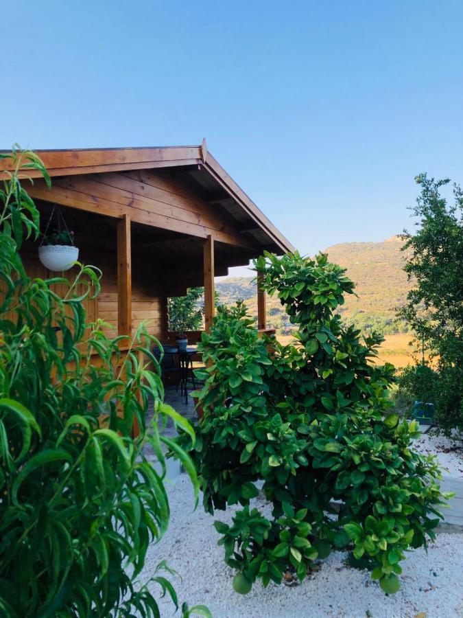 Happy Glamping Cy Villa Agios Theodoros Exterior photo